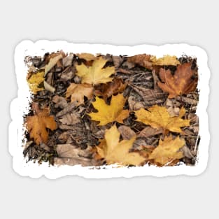 Colorful leaves - Fall, Autumn Sticker